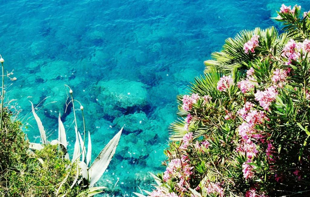 Nice Apartment & Room In Cavtat Bagian luar foto