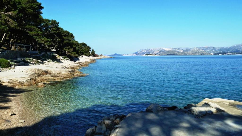 Nice Apartment & Room In Cavtat Bagian luar foto