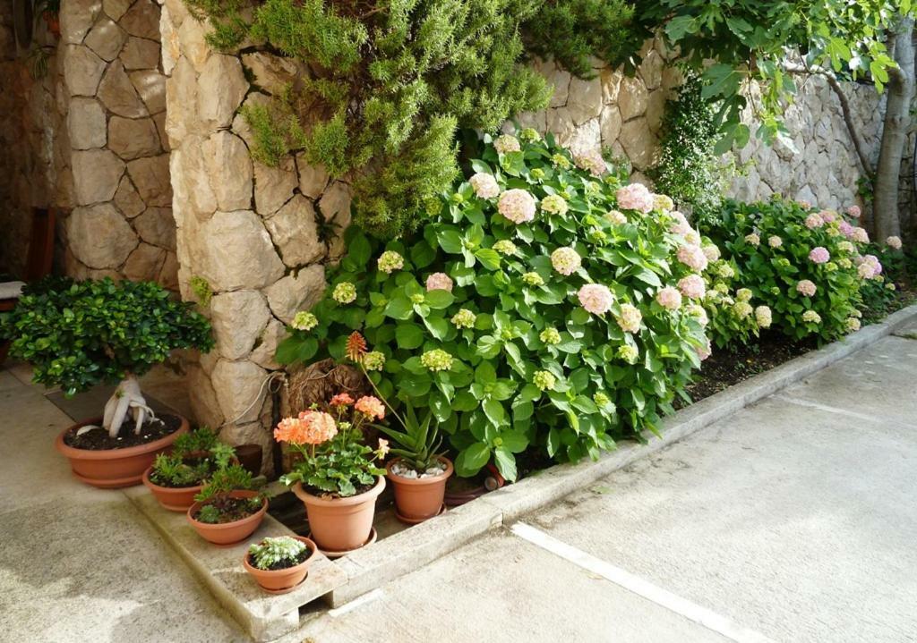 Nice Apartment & Room In Cavtat Bagian luar foto